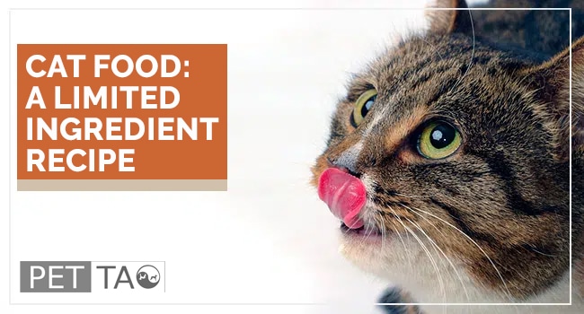 The Limited Ingredient Cat Food Recipe: Eastern Food Therapy Backed By Veterinarians