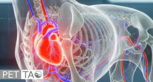 heart of a dog for congestive heart failure in dogs description