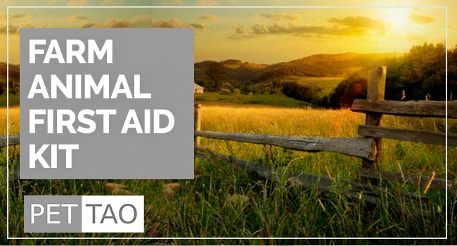 How to Build a Farm First Aid Kit