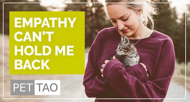 How Animal Empathy Encourages Human Healing