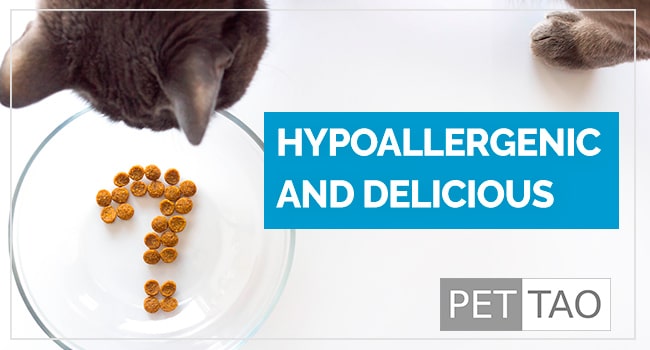 Do You Recognize a Hypoallergenic Cat Food When You See One?