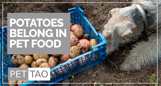 Potatoes-Belong-In-Pet-Food