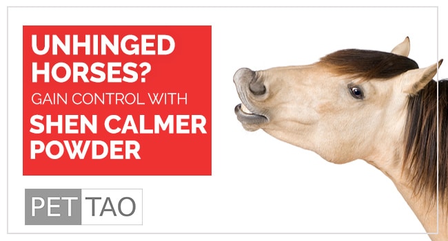 Shen Calmer: TCVM Horse Calming Supplement