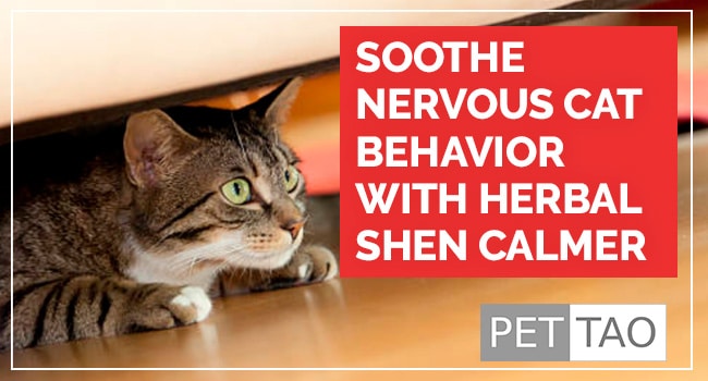 TCVM Herbal Shen Calmer Soothes Nervous Cat Behavior