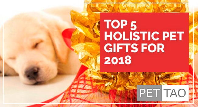Top 5 Holistic Pet Gifts for 2018