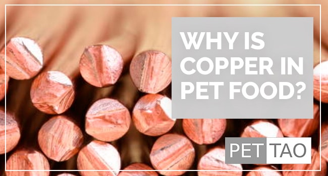 Why is Copper in Dog Food?