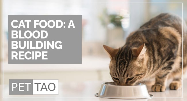 TCVM Blood Building Cat Food Recipe