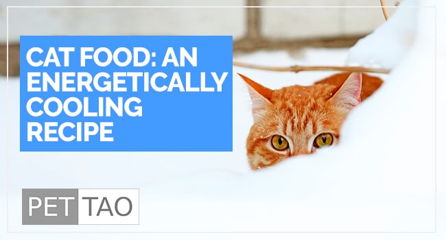 TCVM Energetically Cooling Cat Food Recipe: Food Therapy Backed by Veterinarians