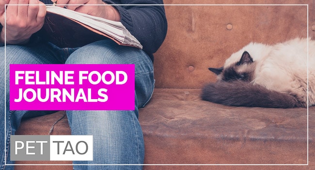 Start a Food Diary: Eliminate Cat Food Allergies Today