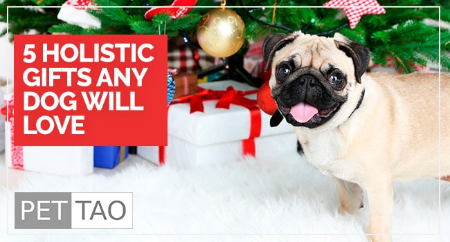 5 Holistic Holiday Dog Gifts