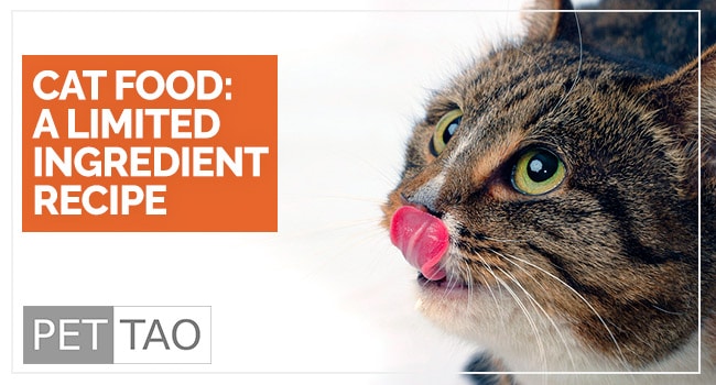 The Limited Ingredient Cat Food Recipe