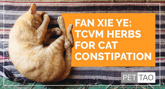 Image for TCVM Herbs for Cat Constipation