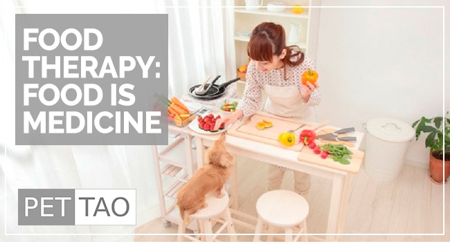 Image for FOOD THERAPY: Food is Medicine
