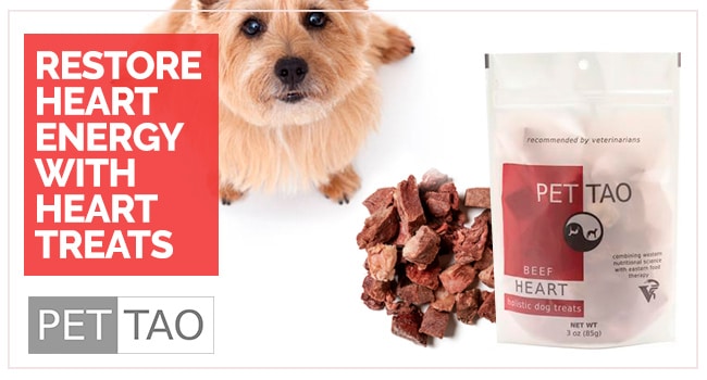 Restore Heart Energy with Beef Heart Treats – TCVM Food Therapy