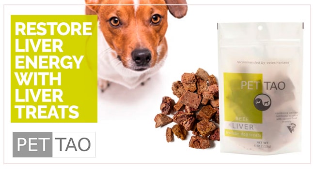 Restore Liver Energy with Beef Liver Treats – TCVM Food Therapy