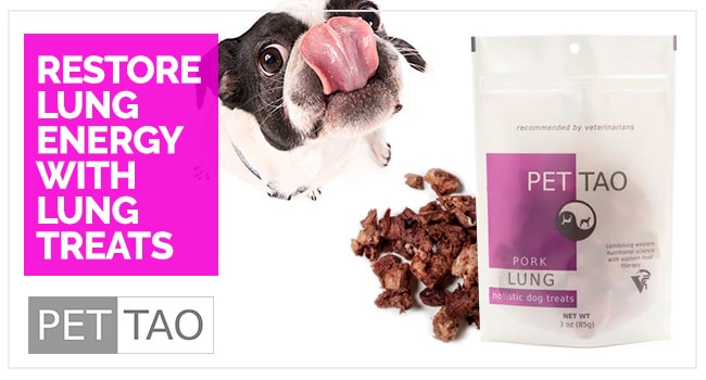 Image for Restore Lung Energy With Pork Lung Treats - TCVM Food Therapy