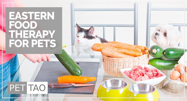 TCVM Eastern Food Therapy Made Easy - PET | TAO