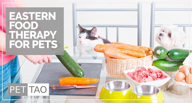 Image for TCVM Eastern Food Therapy Made Easy - PET | TAO
