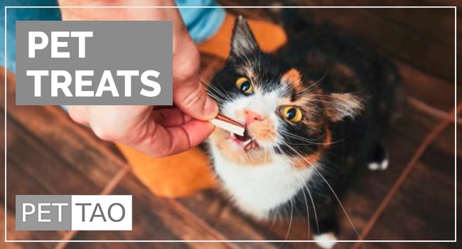 Image for Cat Treats