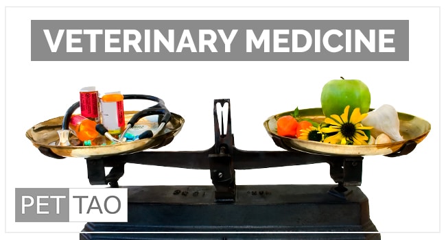 Image for Veterinary Medicine
