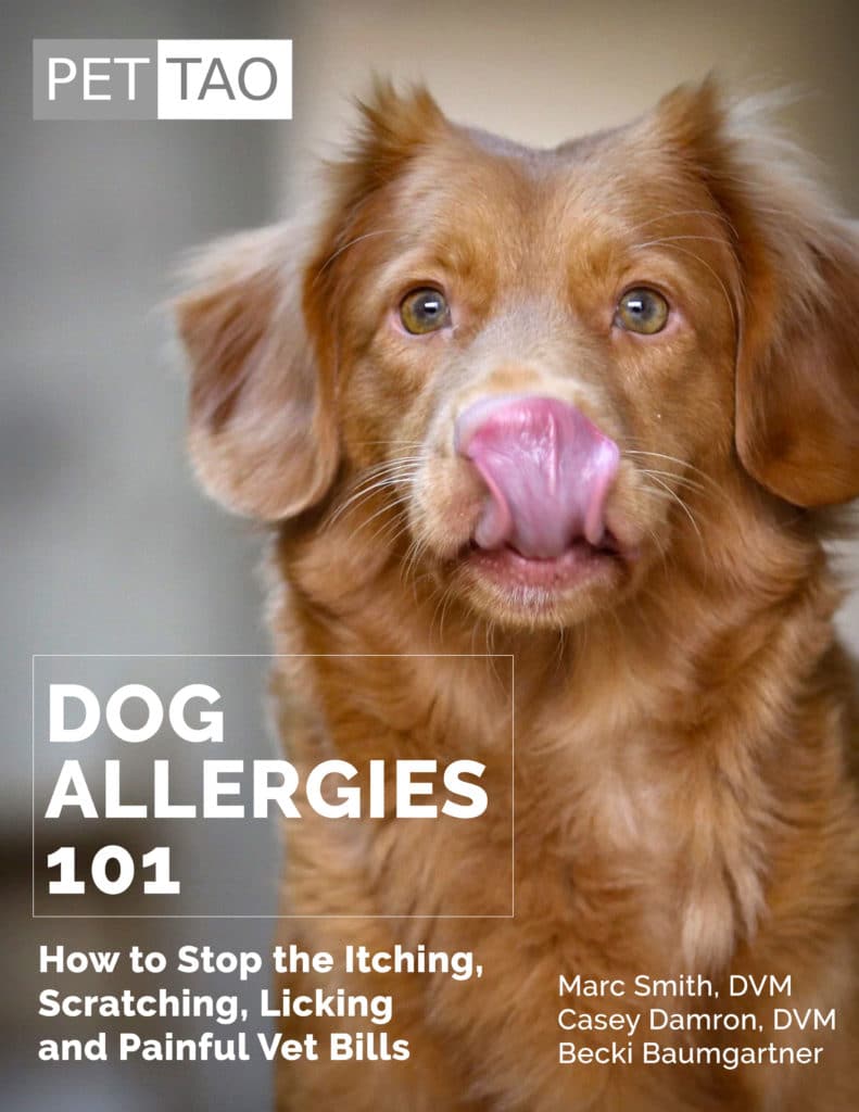 Free Dog Allergies Instant Download Ebook Cover