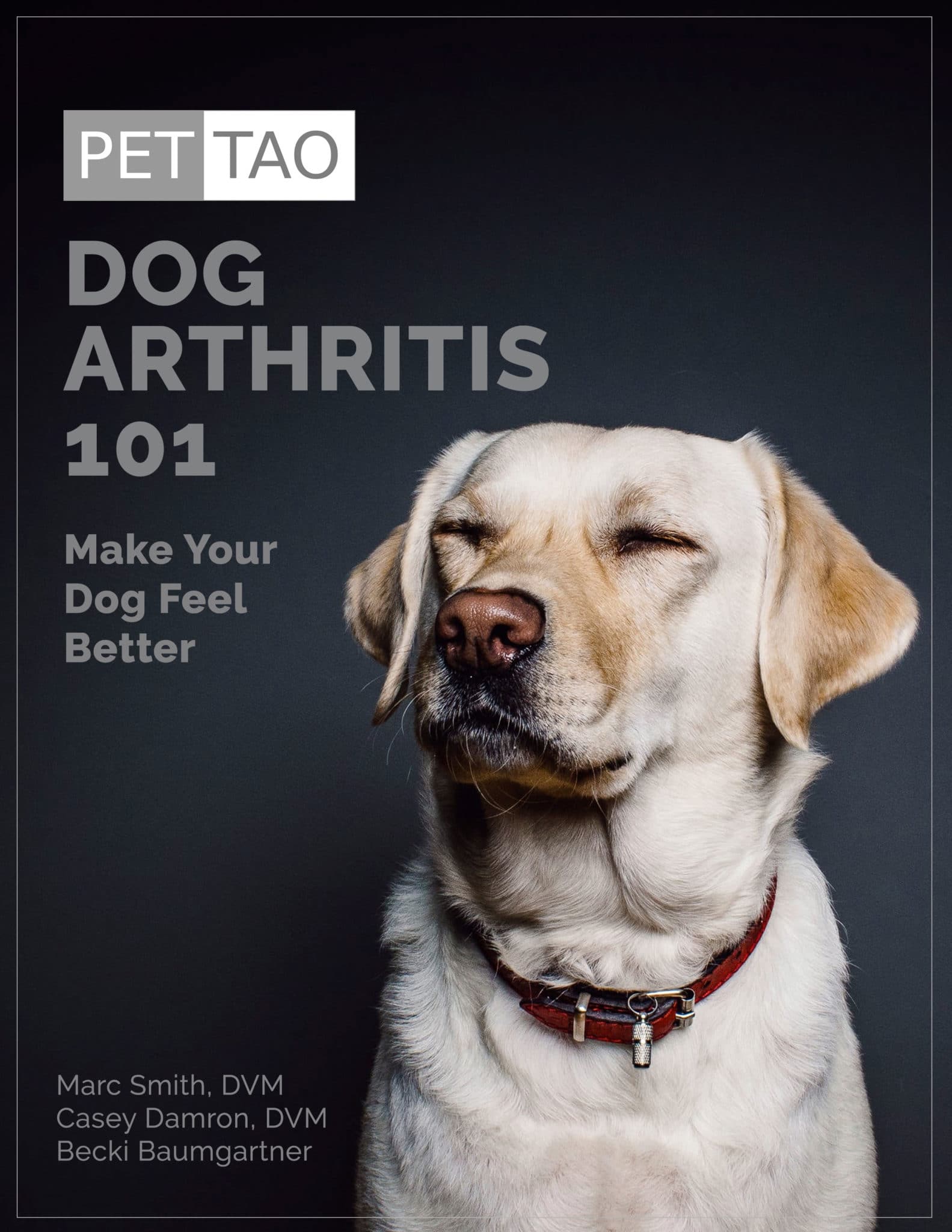 Dog Arthritis Ebook PET TAO Holistic Pet Products