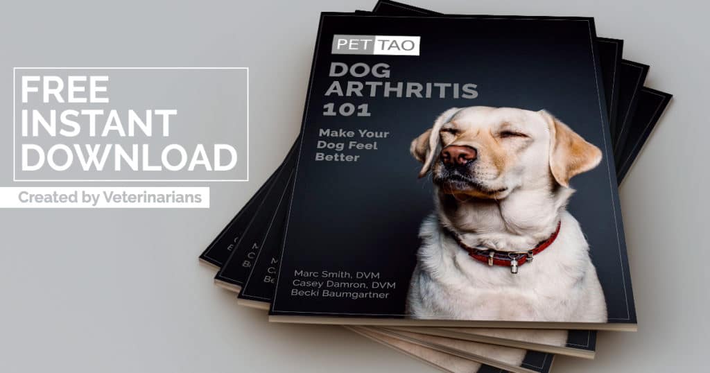 Free Dog Arthritis Instant Download Graphic