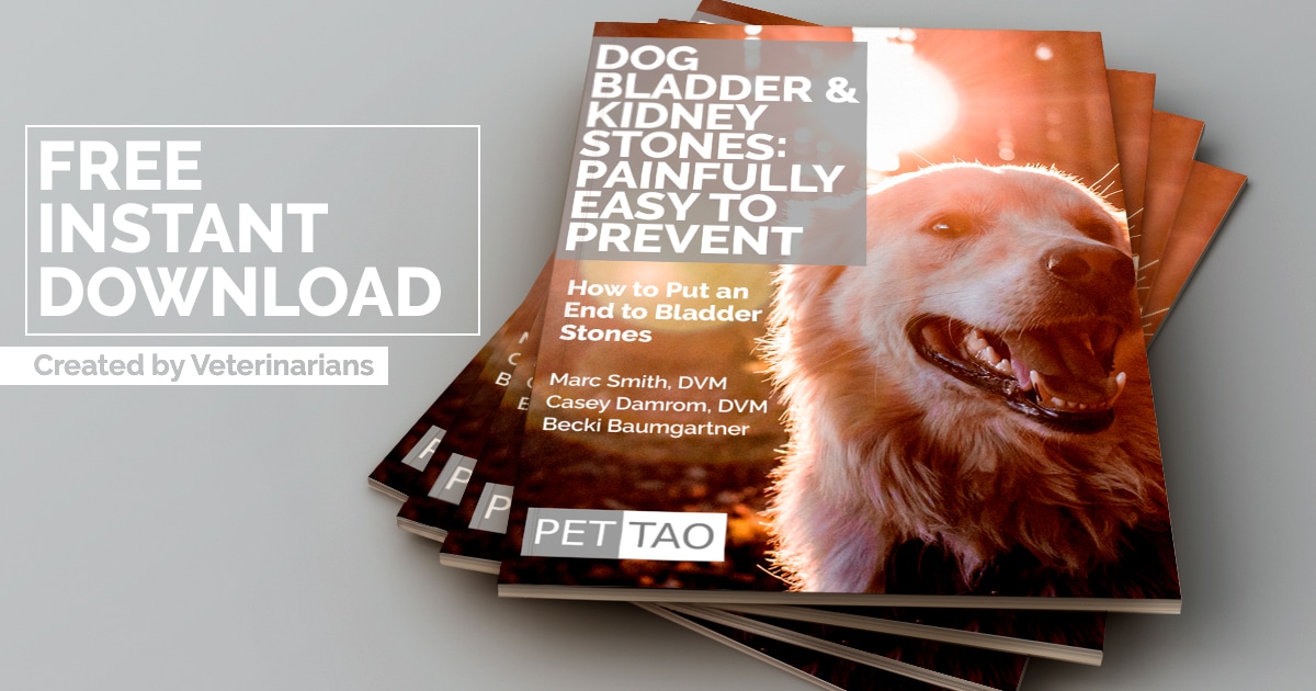 Dog Bladder & Kidney Stone Instant Download - Help Your Dog Feel Better! Graphic