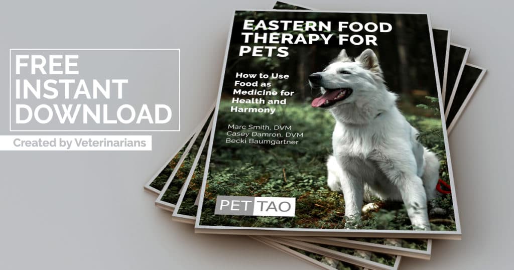 Free Instant Download - Learn TCVM Food Therapy for Pets! Graphic