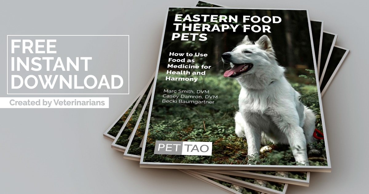 Free Instant Download - Learn TCVM Food Therapy for Pets! Graphic