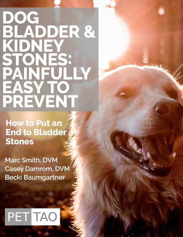 Dog Kidney Stone Instant Download Help Your Dog Feel Better!