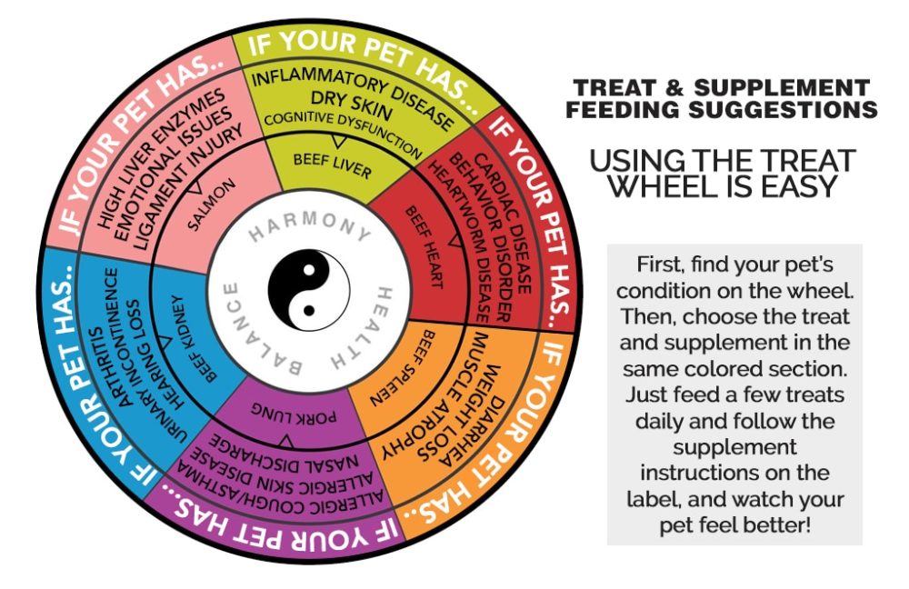 PET | TAO Treat Wheel - Feed Treats for a Reason