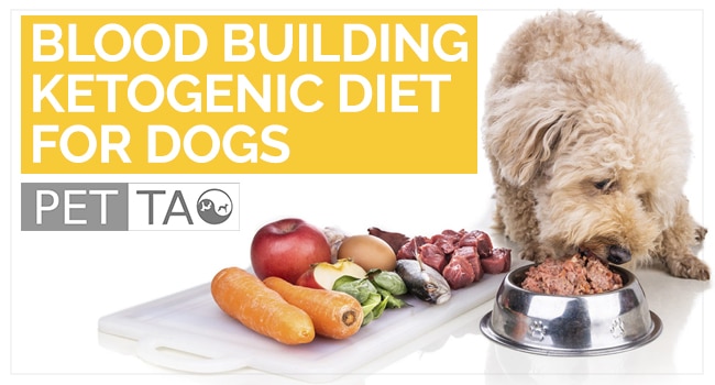 How to Cook a Blood Building Ketogenic Diet for Dogs