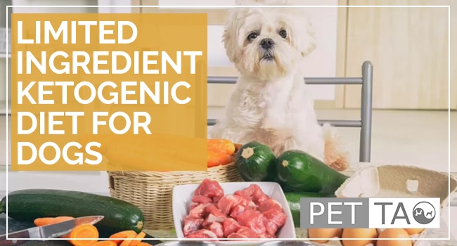 Limited Ingredient Ketogenic Diet for Dogs Recipe