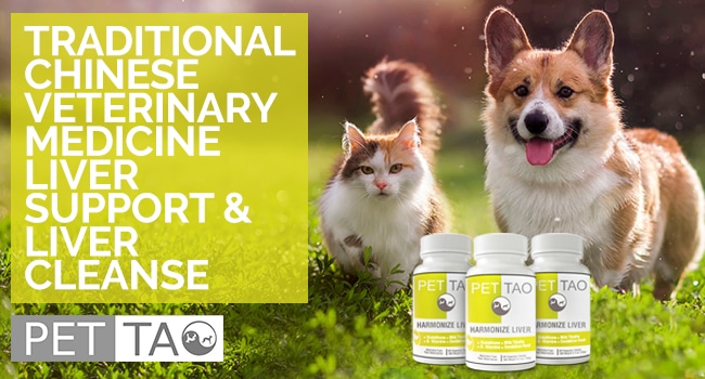 harmonize liver support supplement for dogs and cats