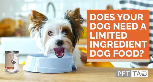 Does Your Dog Need a Limited Ingredient Dog Food?