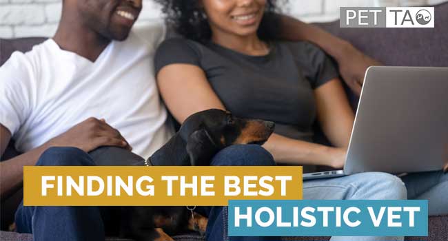 How Can I Find the Best Holistic Vet Near Me?