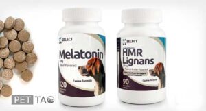 Melatonin and Lignans help cushing syndrome dog's back legs