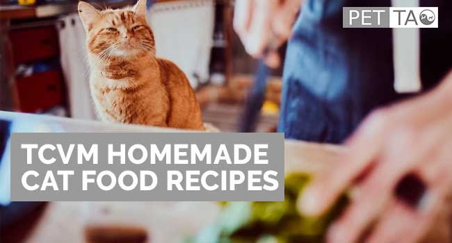 Your Guide to TCVM Homemade Cat Food Recipes