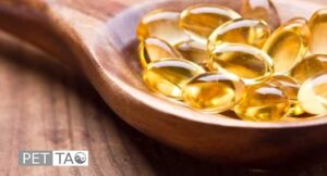Fish oil for dog arthritis