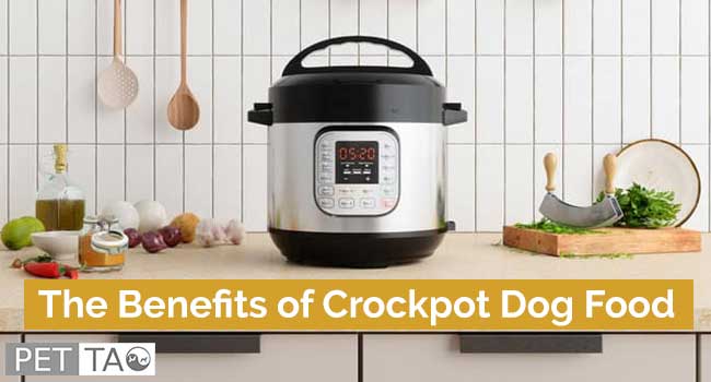 Discover the Amazing Benefits of Crockpot Dog Food