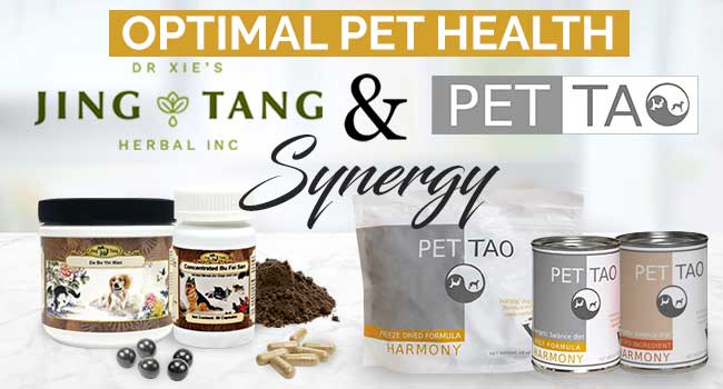 Optimal Pet Health: Jing Tang Herbal and PET | TAO Synergy