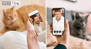Dr. Casey Damron and Dr. Marc Smith Telemedicine Consult Dr. Casey Damron and Dr. Marc Smith Telemedicine Consult