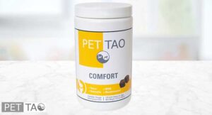 PET | TAO Comfort