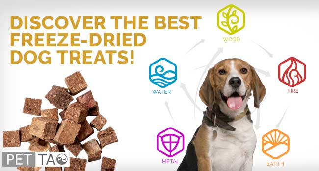 What Are the Best Freeze Dried Dog Treats?