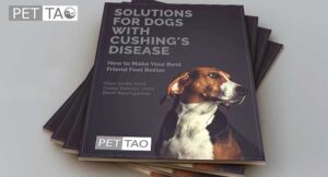 PET|TAO Solutions for Dog with Cushing's Disease