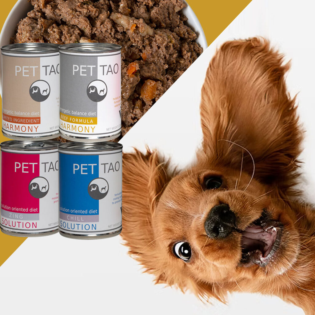 PET|TAO-Canned-Food