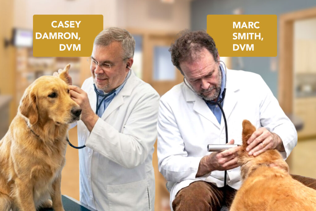 Dr. Damron and Dr. Smith
