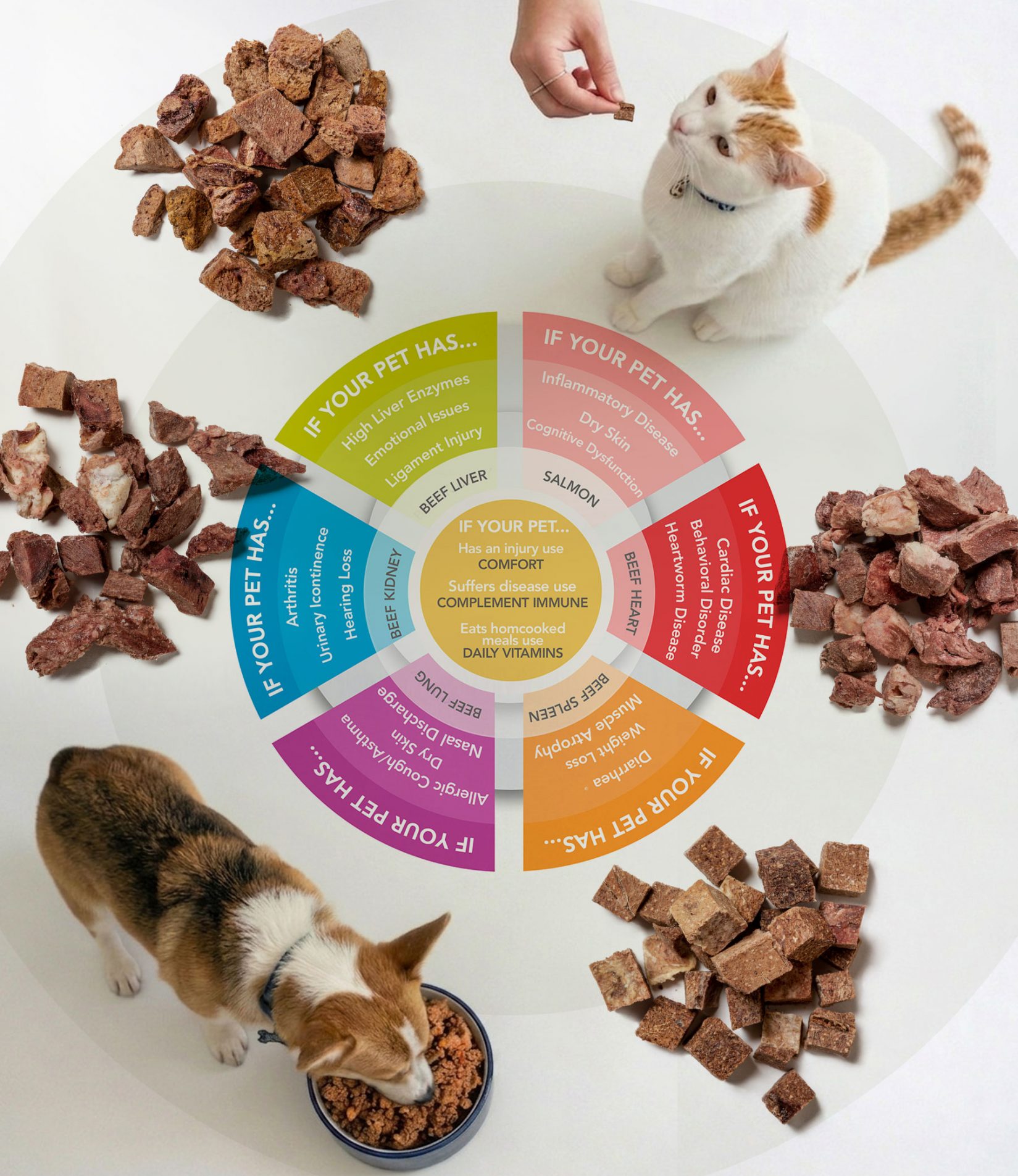 PET | TAO Holistic Pet Products: TCVM Pet Food, Treats & Supplements
